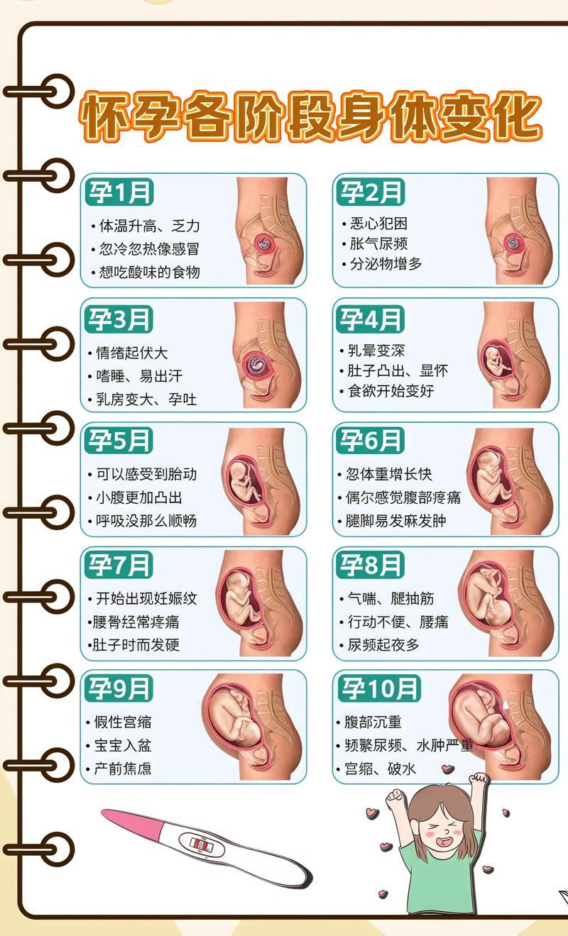 揭秘供卵代孕妈妈怀孕小腹分两节，孕期变化的奥秘咸宁代生机构: